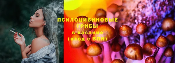 мдпв Корсаков