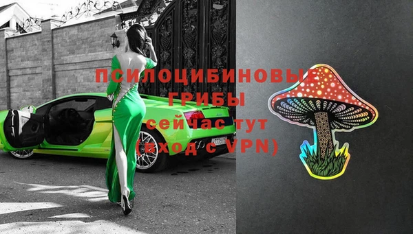 МДПВ Краснослободск