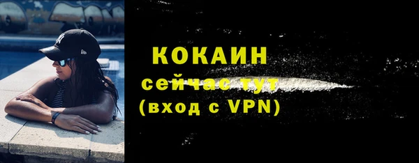 МДПВ Краснослободск