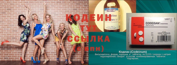 мдпв Корсаков