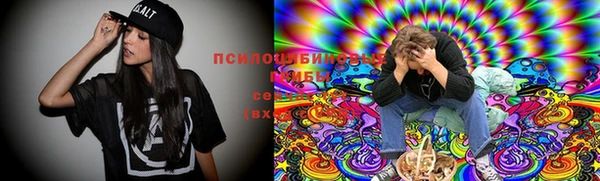 мдпв Корсаков